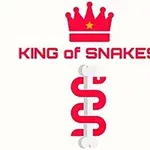 Una corona roja sobre el texto KING OF SNAKES con una serpiente estilizada en vertical debajo