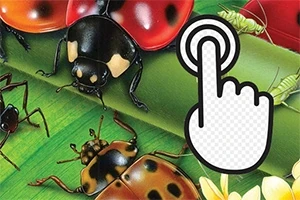 Ilustración de insectos sobre hojas verdes, incluyendo mariquitas, escarabajos y saltamontes, con un ícono de clic de mano sobrepuesta