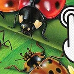 Ilustración de insectos sobre hojas verdes, incluyendo mariquitas, escarabajos y saltamontes, con un ícono de clic de mano sobrepuesta