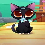 Un gato negro con grandes ojos anaranjados y una estrella ninja en el pecho, sentado en un camino de madera, con un fondo de jardín japonés y pétalos flotando